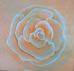 Rose orange
